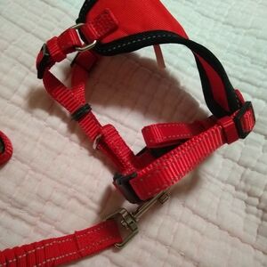 Red Cat Harness and Leash Set